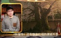 一周快评：成龙宝刀不老 妖猫看尽半个盛唐
