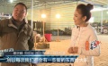 探訪《妖貓傳》道具寶庫 美工組蟄伏當?shù)亓? title=