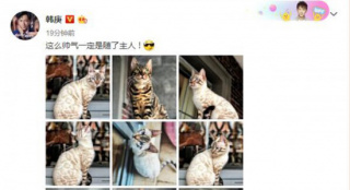 太自戀!韓庚變“炫貓狂人” 自侃貓的帥氣隨主人