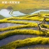 《妈妈咪鸭》曝视频尽显中国风 领略祖国大好山河