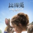 《比得兔》混搭CP 情人節(jié)海報(bào)加新春動畫甜蜜發(fā)布