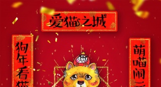 《愛(ài)貓之城》曝貓狗雙全海報(bào) 高分紀(jì)錄片有望引進(jìn)