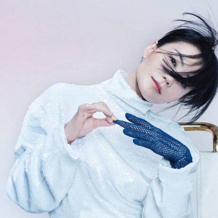 王菲登时尚杂志封面 脑残粉丝求高清大图送会员