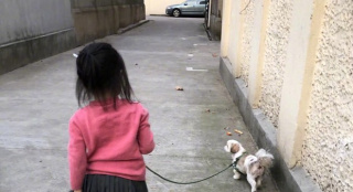 孙俪晒小花遛狗背影萌照 妹妹和哥哥争风吃醋