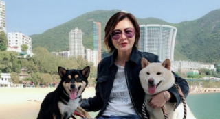 關(guān)之琳帶愛(ài)犬出行氣色超好 氣質(zhì)女神風(fēng)韻猶存