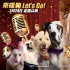 《萌犬好声音》明日上映 有谁还会被一只小狗治愈