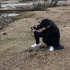 网友西藏偶遇郑恺 化身高原摄影师给神秘女子拍照