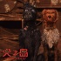 《犬之岛》发配音大咖独白 狗狗的世界他们懂吗？