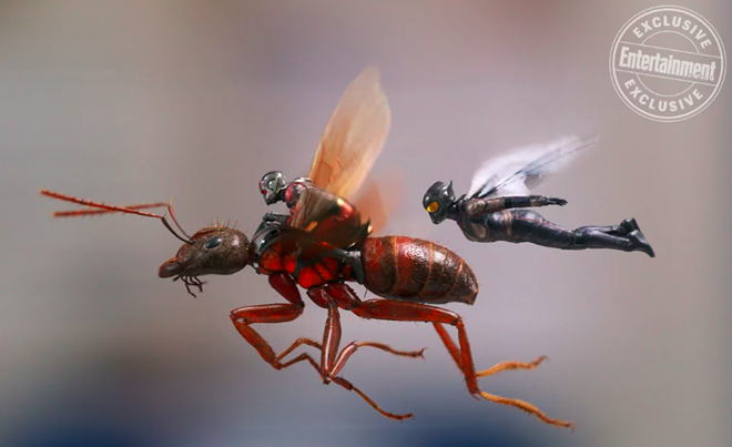 《蚁人2》曝新剧照 蚁人、黄蜂夫妻档如影随形