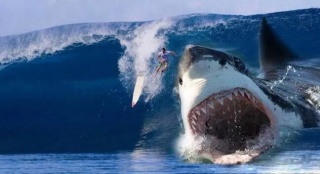 《狂暴巨獸》后還有這么多？恐龍哥斯拉排隊上映