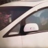 蘇！王俊凱自駕車片場上班 真·秋名山車神超A