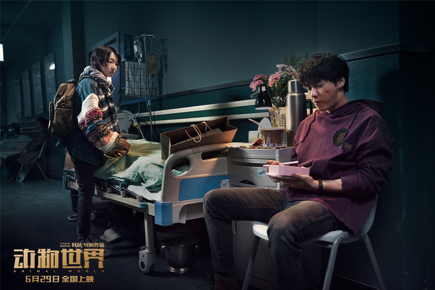 动物世界_电影剧照_图集_电影网_1905.com