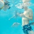 让人心疼!光良砸15万带员工旅游却遭海龟咬臀 让人心疼!光良砸15万带员工旅游却遭海龟咬臀