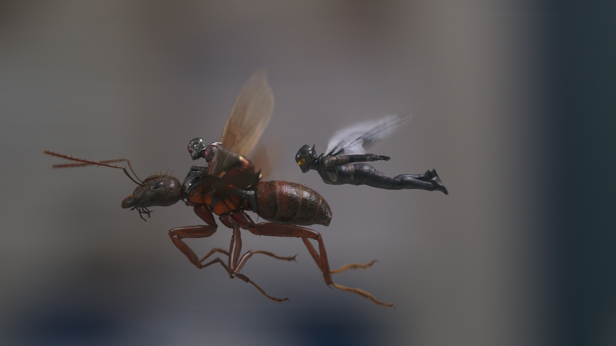 《蚁人与黄蜂女》发倒计时预告 魔性洗脑停不下来