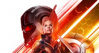 《蚁人2：黄蜂女现身》全新预告 夫妻档拯救世界