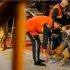 《监狱犬计划》发布宣传片 真挚告白拯救流浪狗
