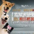 《监狱犬计划》首映“驴得水”主演花式点赞郝蕾