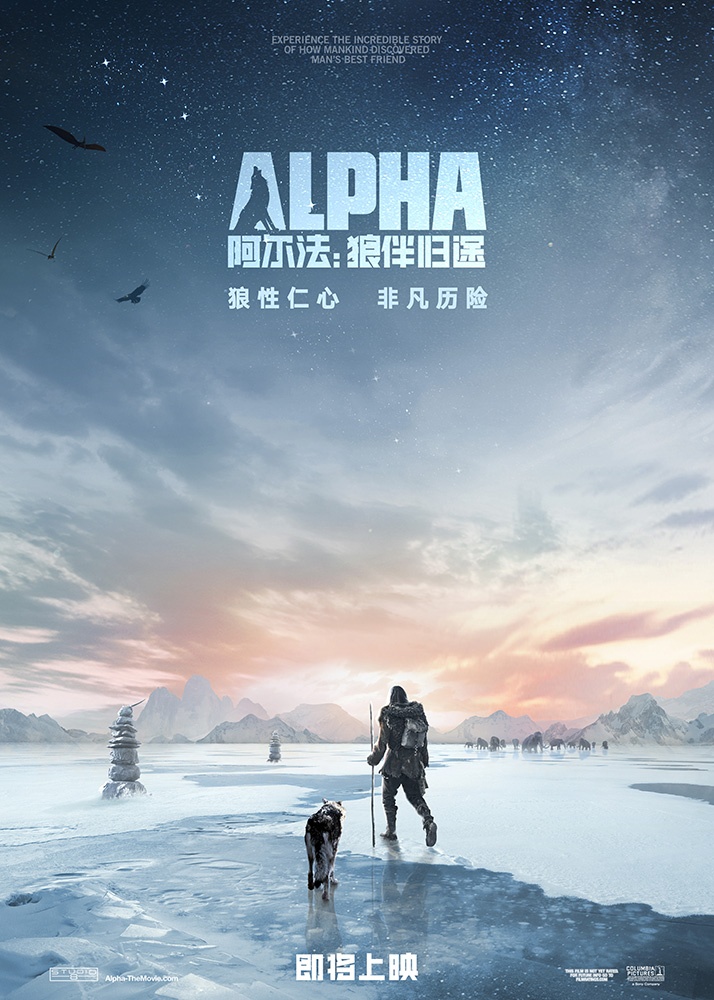 《阿尔法：狼伴归途》确认引进 海报预告开启历险