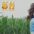 《蘇丹》將映 “猴神”薩爾曼·汗回歸剛烈硬漢