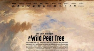 土耳其《野梨樹》參與奧斯卡 錫蘭作品再獲垂青