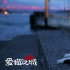 《愛貓之城》或?qū)⒁M(jìn) 貓奴不可錯(cuò)過的高分紀(jì)錄片