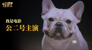《營救汪星人》“個狗介紹”上線 踢踏舞實力搶鏡