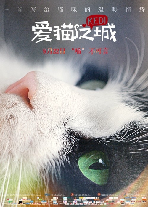 《爱猫之城》终极预告海报双发 “喵”准中秋档