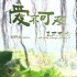 《愛不可及》發(fā)榕樹之下海報