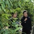 “荒山煥新顏”的河北阜平，什么讓李冰冰感動？