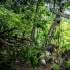 《宠物坟场》首曝预告 诡异小镇恐怖宠物现身