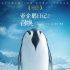 《帝企鵝日記2》曝特輯 張歆藝喊袁弘學(xué)“帶娃”