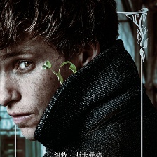 官宣！《神奇動(dòng)物2》小雀斑等四大主演10月底來(lái)華
