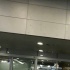 唐嫣羅晉大婚后首同框現(xiàn)身 低調(diào)歸國機場牽手前行