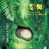 宮崎駿經典重映《龍貓》曝新海報 這個覺很舒服！