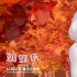索尼欲擴大蜘蛛俠宇宙 《蜘蛛女》動畫正在籌備中