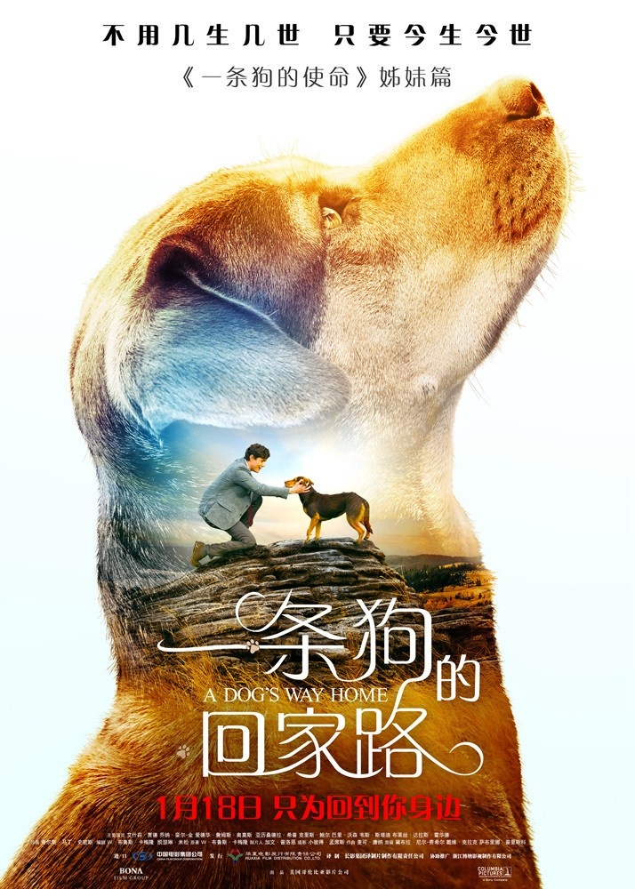 马达为新欢代言 《一条狗的回家路》定档1月18日