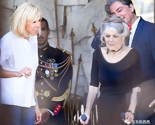 连法国总统夫人布里吉特·马克龙这样的奇女子,看到她也是各种陪笑脸
