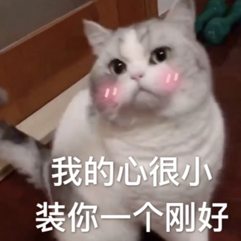 写到这儿感觉自己都说清楚啦,又得意地叉会儿腰.