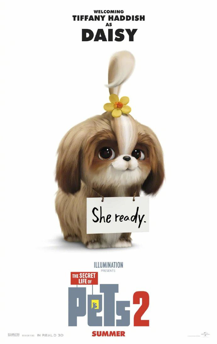 《爱宠大机密2》曝海报预告 新狗狗亮相发型可爱