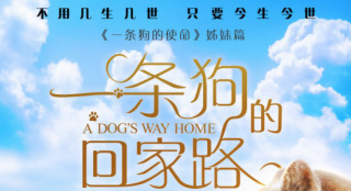 《一條狗的回家路》曝海報(bào) 北美開(kāi)畫(huà)超前作姊妹篇