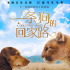 《一条狗的回家路》曝海报 北美开画超前作姊妹篇
