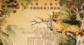 《一條狗的回家路》新海報(bào) 被贊“適合全人類(lèi)”