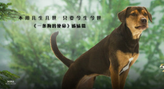 《一條狗的回家路》曝預(yù)告 奧斯卡獲獎(jiǎng)配樂(lè)師助陣