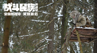《戰(zhàn)斗民族養(yǎng)成記》曝特輯 好萊塢畫風被帶跑偏