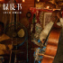 《绿皮书》周末点映 网友亲制阿里