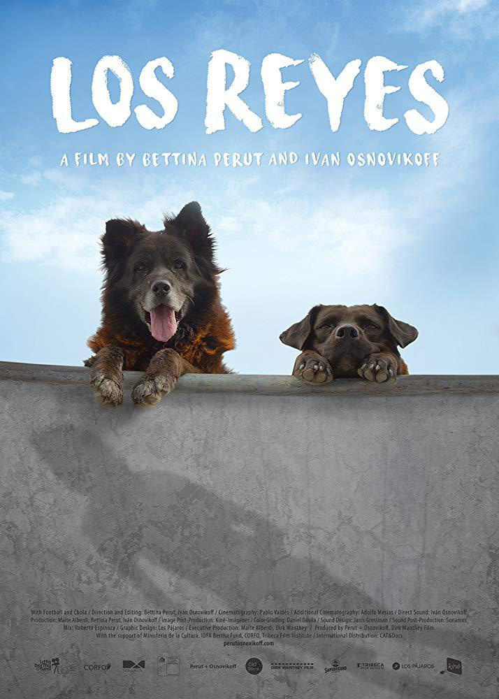 智利纪录片《犬犬风尘》冲刺2019香港国际电影节