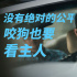 内容过于真实 《狗眼看人心》这组照片触动朋友圈