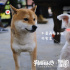 《狗眼看人心》曝光探班照 黄磊闫妮力挺妮蔻首秀