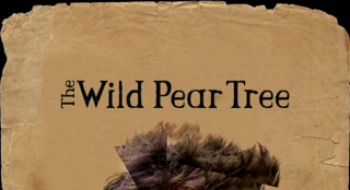 “天壇獎(jiǎng)”入圍影片《野梨樹》 樹影婆娑下的故鄉(xiāng)