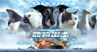 冯小宁执导儿童动物电影 《动物出击》曝终极预告